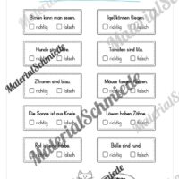 Leseheft: Verbinden - Malen - Ankreuzen (1. Klasse) - Stufe 1 (Vorschau 08)