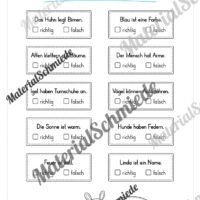 Leseheft: Verbinden - Malen - Ankreuzen (1. Klasse) - Stufe 1 (Vorschau 13)