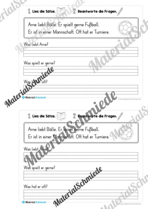 Mini-Heft: Lesetexte mit Fragen (1. Klasse) - Vorschau 11