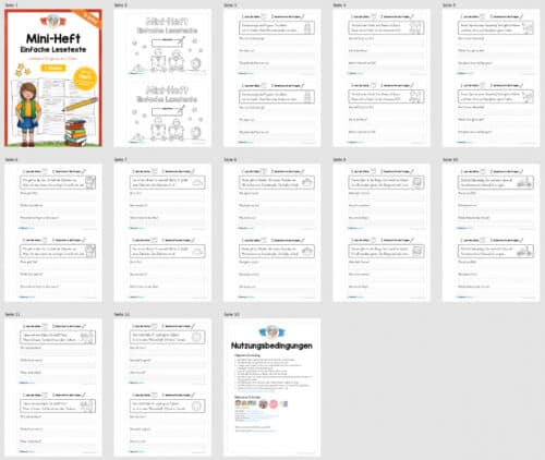 Mini-Heft: Lesetexte mit Fragen (1. Klasse) - Überblick