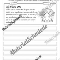 10 Abschreibtexte: Groß- und Kleinschreibung (2. Klasse) - Vorschau 06