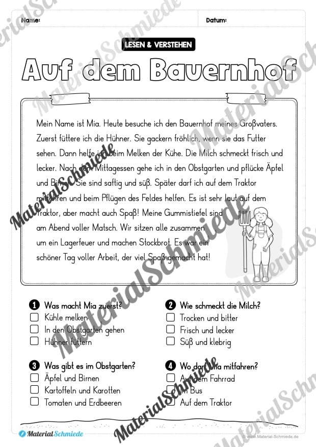 Lesen & Verstehen mit ankreuzen für die 2. Klasse (10 Arbeitsblätter) – Vorschau 04