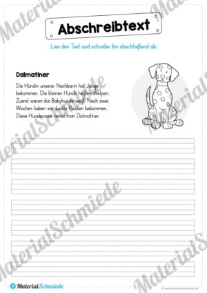 10 Abschreibtexte: Thema Tiere (Vorschau 02)