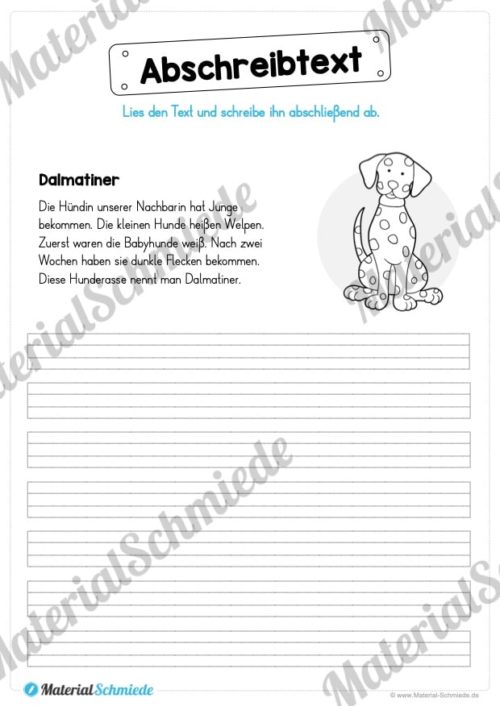 10 Abschreibtexte: Thema Tiere (Vorschau 02)