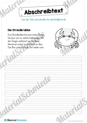 10 Abschreibtexte: Thema Tiere (Vorschau 03)