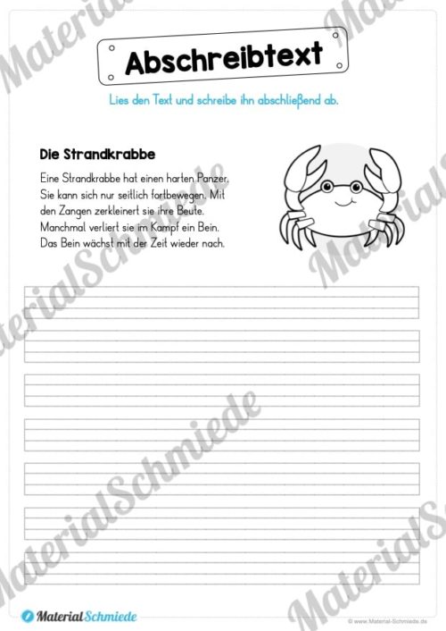 10 Abschreibtexte: Thema Tiere (Vorschau 03)
