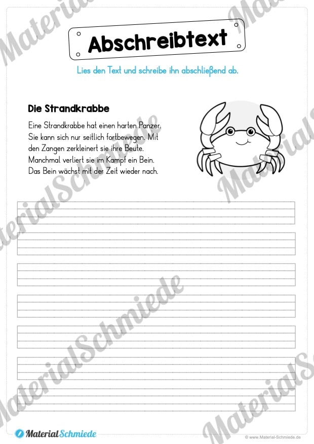 10 Abschreibtexte: Thema Tiere (Vorschau 03)