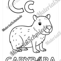 Kostenlose Ausmalbilder: Buchstaben lernen mit Tieren von A bis Z (Arbeitsblatt 03)