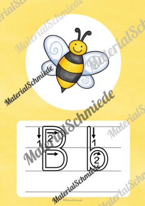 Bundle: 32 Buchstaben-Plakate (Druckschrift mit Schwunganleitungen) – Buchstabe B/b