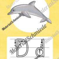 Bundle: 32 Buchstaben-Plakate (Druckschrift mit Schwunganleitungen) - Buchstabe D/d