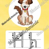 Bundle: 32 Buchstaben-Plakate (Druckschrift mit Schwunganleitungen) - Buchstabe H/h