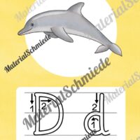 Bundle: 32 Buchstaben-Plakate (Grundschrift mit Schwunganleitungen) - Buchstabe D/d