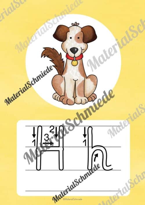 Bundle: 32 Buchstaben-Plakate (Grundschrift mit Schwunganleitungen) - Buchstabe H/h