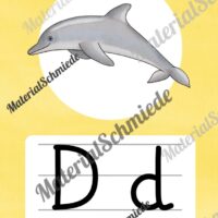 Bundle: 50 Buchstaben-Plakate (Grundschrift) - Buchstabe D/d