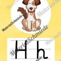 Bundle: 50 Buchstaben-Plakate (Grundschrift) - Buchstabe H/h