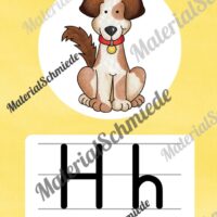 Bundle: 50 Buchstaben-Plakate (Druckschrift) - Buchstabe H/h