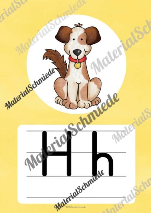 Bundle: 50 Buchstaben-Plakate (Druckschrift) - Buchstabe H/h