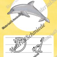 Bundle: 32 Buchstaben-Plakate (Schreibschrift mit Schwunganleitungen) - Buchstabe D/d