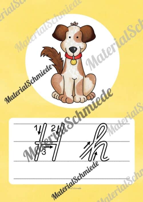 Bundle: 32 Buchstaben-Plakate (Schreibschrift mit Schwunganleitungen) - Buchstabe H/h