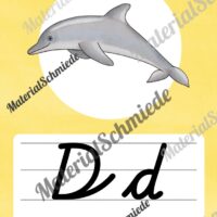 Bundle: 50 Buchstaben-Plakate (Schreibschrift) - Buchstabe D/d