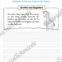 10 Fehlertexte: Die Safari-Tour (Vorschau 02)