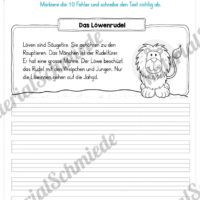 10 Fehlertexte: Die Safari-Tour (Vorschau 03)