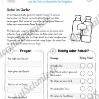 Materialpaket Lesetexte (Vorschau 05)