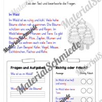 Silbenschrift: Lesetexte mit Fragen (2. & 3. Klasse) - Arbeitsblatt 03