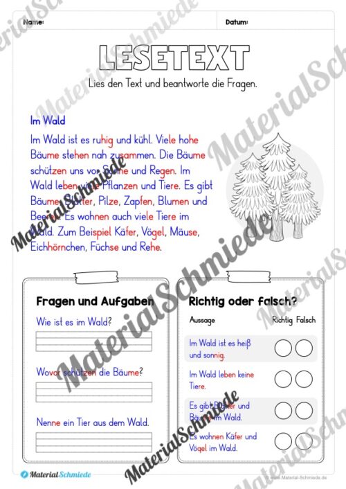 Silbenschrift: Lesetexte mit Fragen (2. & 3. Klasse) - Arbeitsblatt 03
