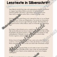 Lesetexte in Silbenschrift (1. & 2. Klasse) - Arbeitsblatt 01