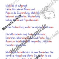 Lesetexte in Silbenschrift (1. & 2. Klasse) - Arbeitsblatt 03