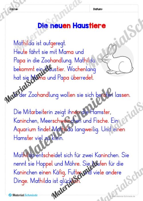 Lesetexte in Silbenschrift (1. & 2. Klasse) - Arbeitsblatt 03