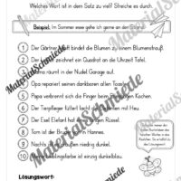 Fit in Deutsch: Wiederholungsaufgaben für die 2. Klasse (30 Arbeitsblätter) - Vorschau 13