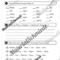 Fit in Deutsch: Wiederholungsaufgaben für die 4. Klasse (Vorschau 05)