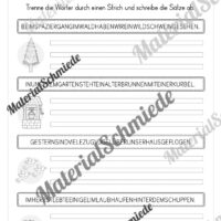 Fit in Deutsch: Wiederholungsaufgaben für die 3. Klasse (Vorschau 07)