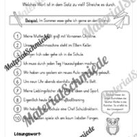 Fit in Deutsch: Wiederholungsaufgaben für die 3. Klasse (Vorschau 08)