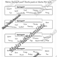 Fit in Deutsch: Wiederholungsaufgaben für die 3. Klasse (Vorschau 14)