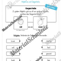 Materialpaket Adjektive (Vorschau 14)