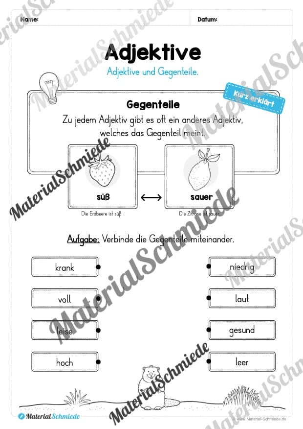 Materialpaket Adjektive (Vorschau 14)