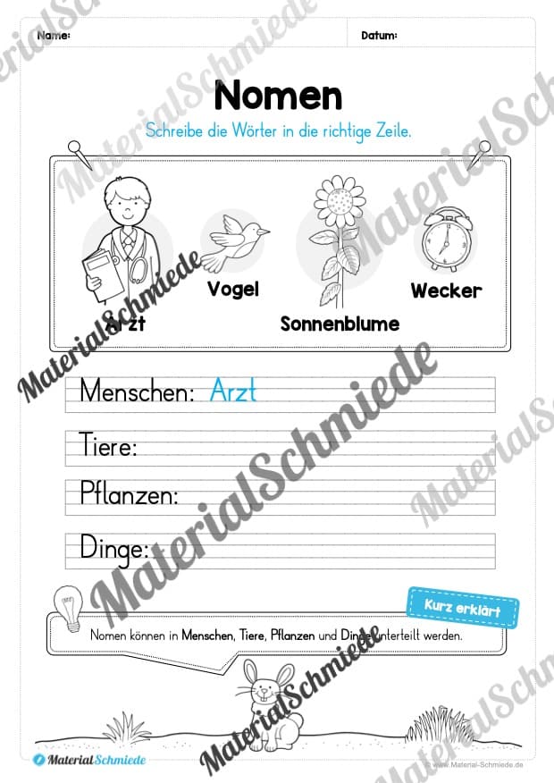 Materialpaket Nomen (Vorschau 06)