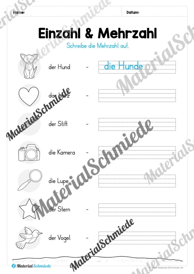 Materialpaket Nomen (Vorschau 14)