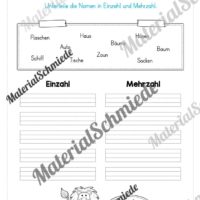 Materialpaket Nomen (Vorschau 15)