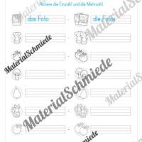 Materialpaket Nomen (Vorschau 17)