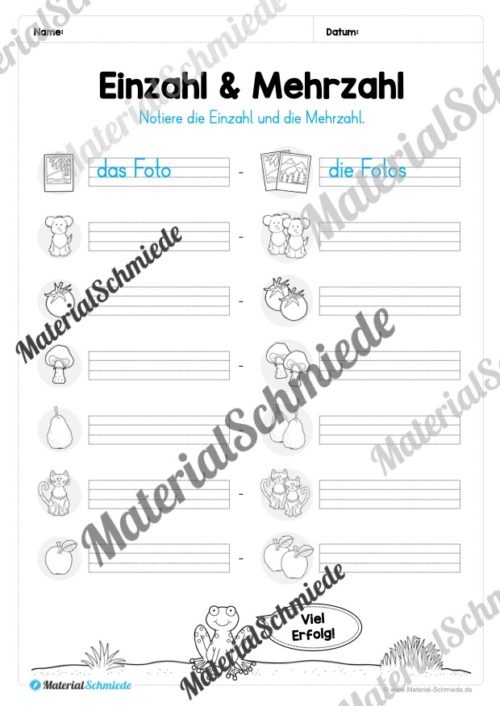 Materialpaket Nomen (Vorschau 17)