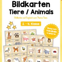 Tiere / Animals: 32 Bildkarten auf Englisch