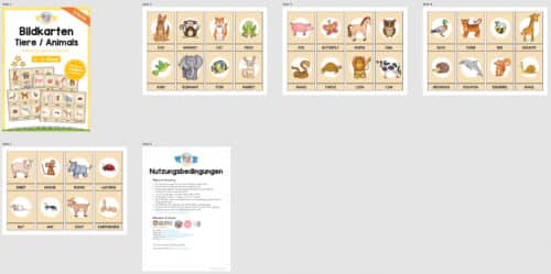 Tiere / Animals: 32 Bildkarten auf Englisch (Überblick)