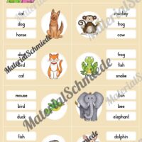 Tiere / Animals: Klammerkarten auf Englisch (Arbeitsblatt 01)