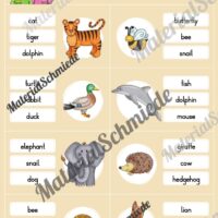 Tiere / Animals: Klammerkarten auf Englisch (Arbeitsblatt 03)