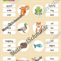 Tiere / Animals: Klammerkarten auf Englisch (Arbeitsblatt 09)