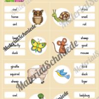 Tiere / Animals: Klammerkarten auf Englisch (Arbeitsblatt 10)